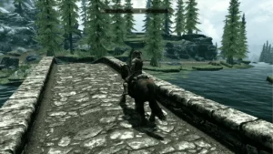 The Elder Scrolls V Skyrim screenshot 3